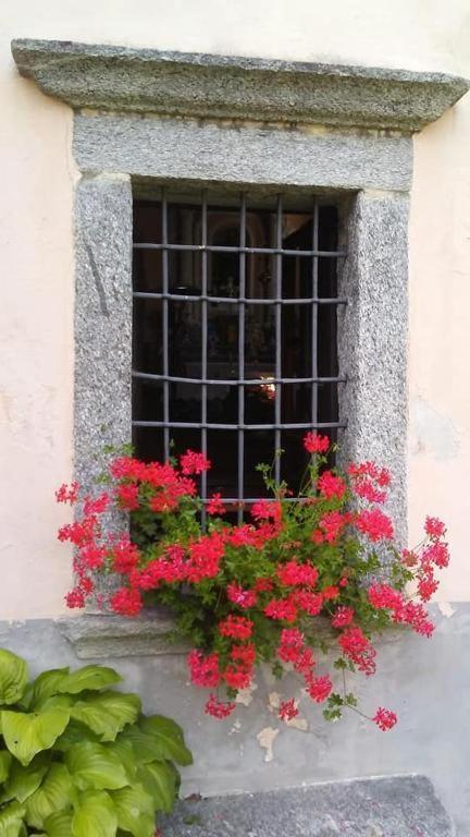 Casa Zizi Villa Crodo Eksteriør billede